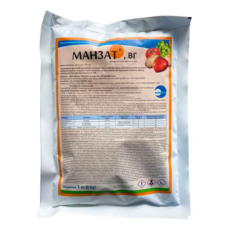 Манзат, ВГ