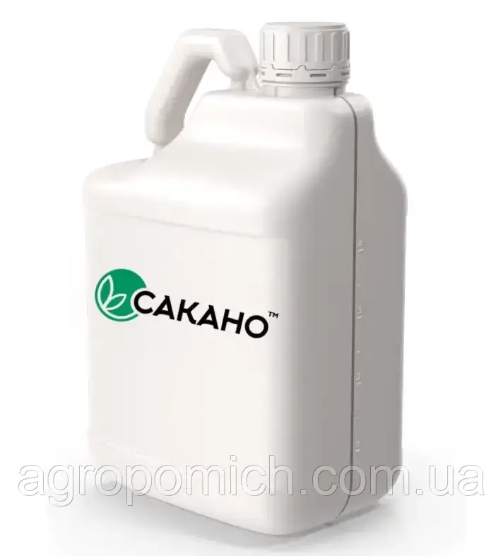 Сакано, РК