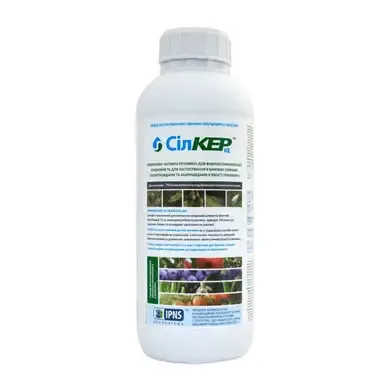 Сілкер, КЕ