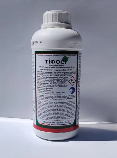 Тіфосі, ВГ