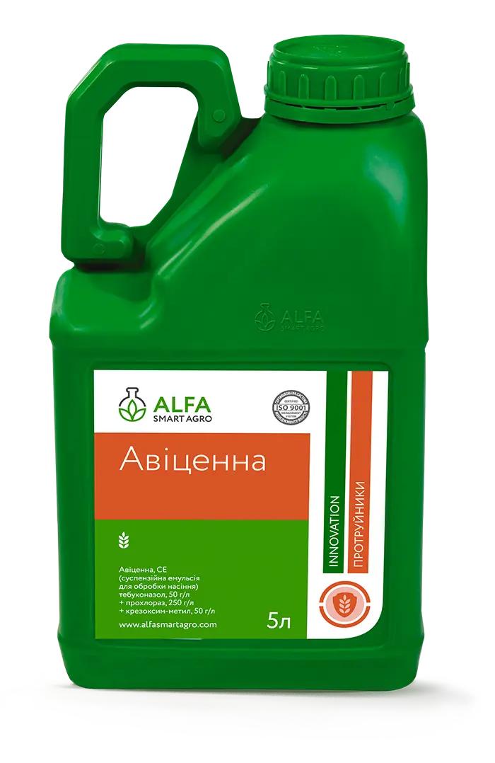 Авіценна, СЕ