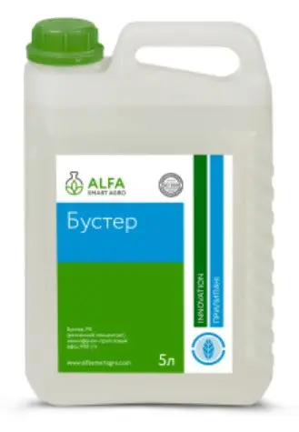 Бустер, РК