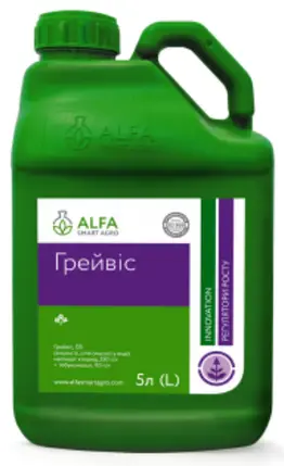 Грейвіс, ЕВ