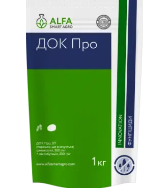 ДОК Про, ЗП