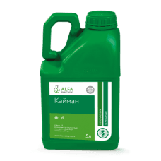 Кайман, КЕ