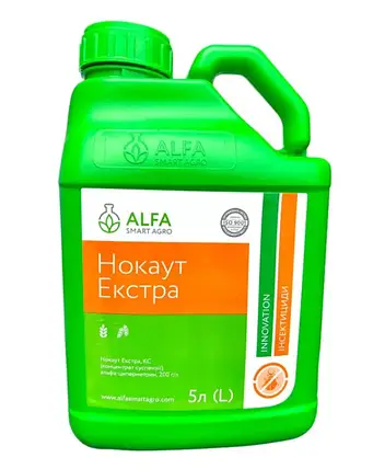 Нокаут Екстра, КС