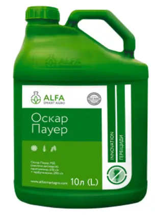 Оскар Пауер, МД