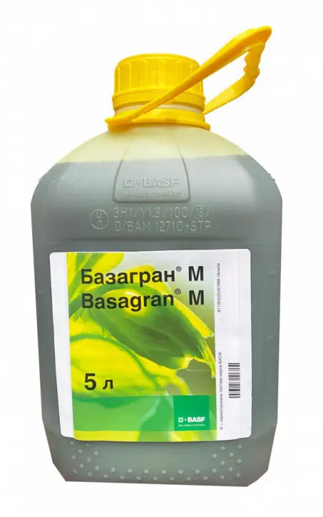 Базагран М, ВР