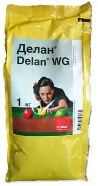 Делан, ВГ