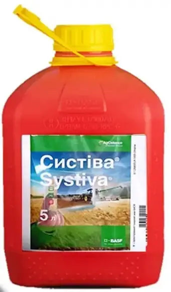 Систіва, ТН