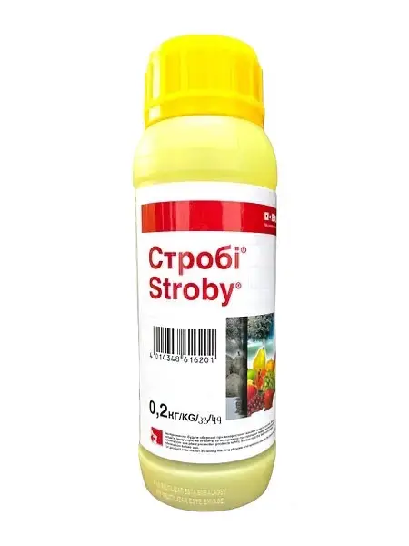 Стробі, ВГ