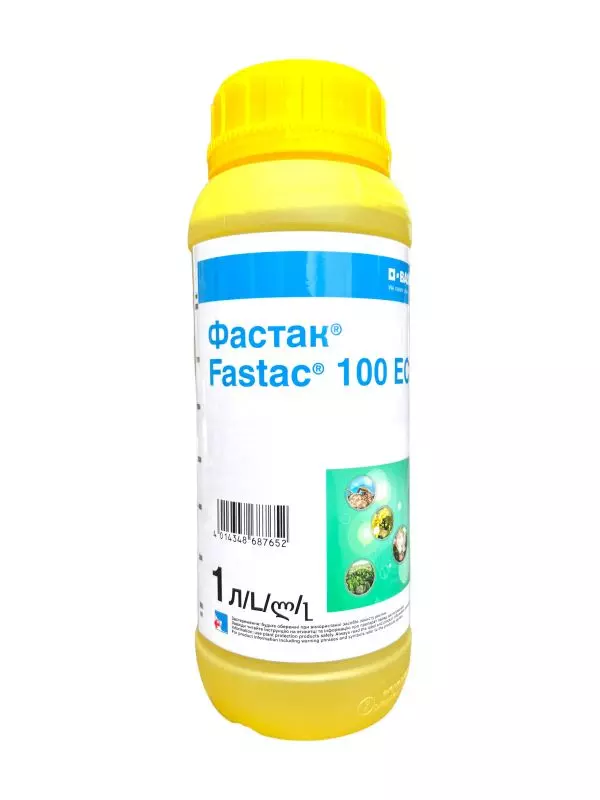 Фастак, КЕ