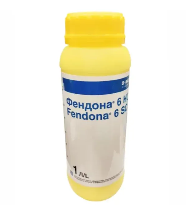 Фендона 6, кс