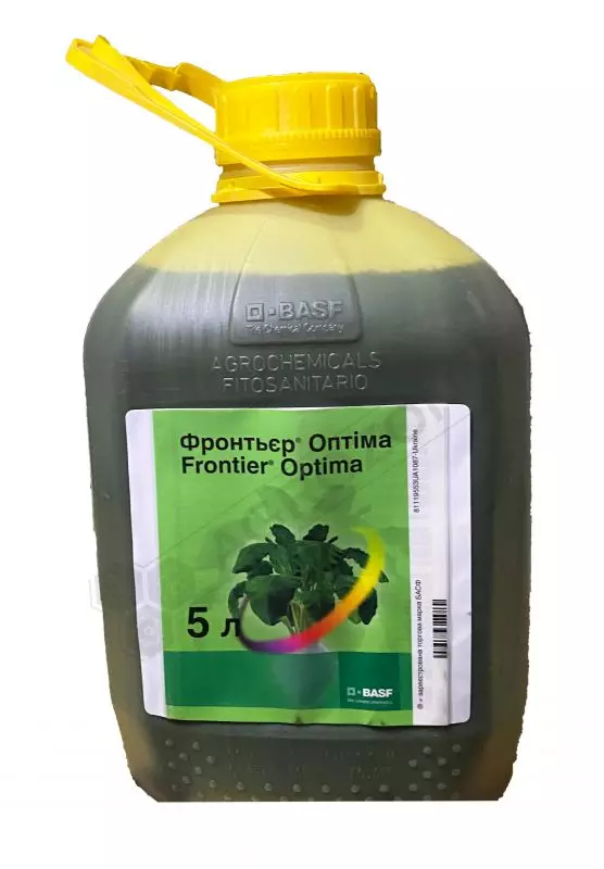 Фронтьер Оптіма, КЕ