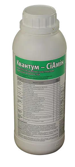 Квантум СіАмін