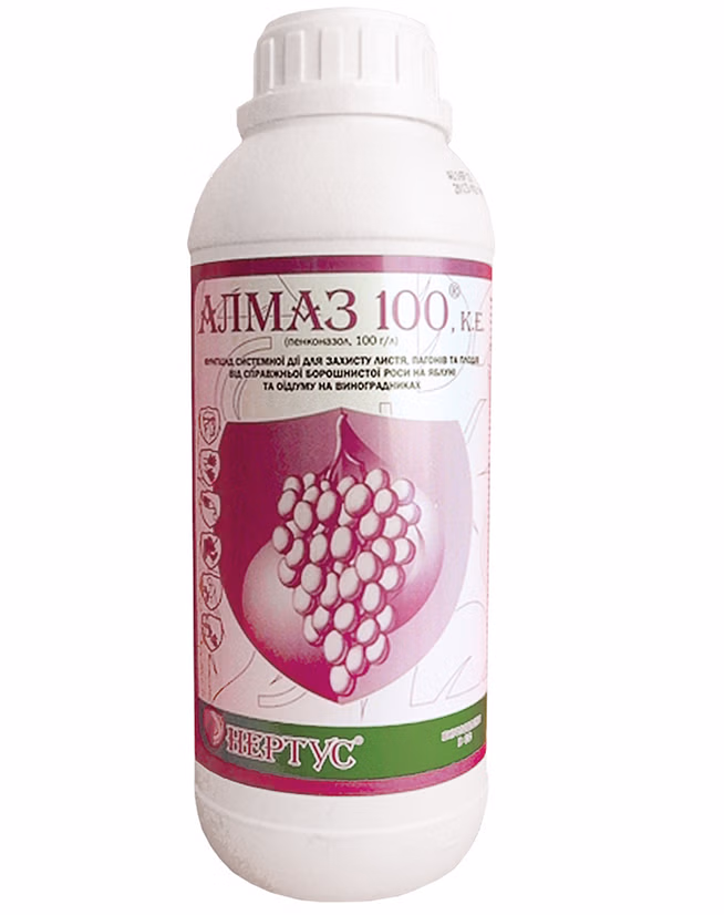 Алмаз 100, КЕ