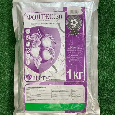 Фонтес, ЗП