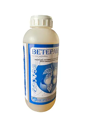 Ветеран, РК
