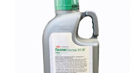 Паллас Екстра 317, ВГ