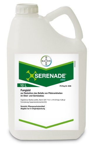 Серенада АСО SC, KС