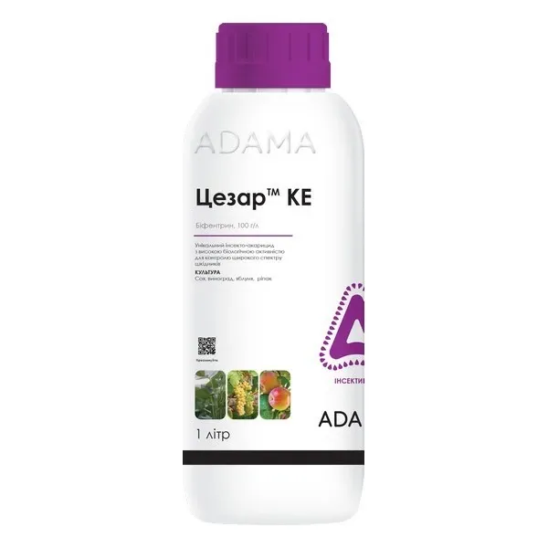 Цезар КЕ