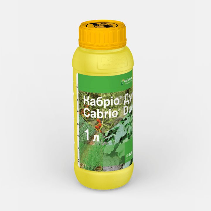 Кабріо Дуо, КЕ