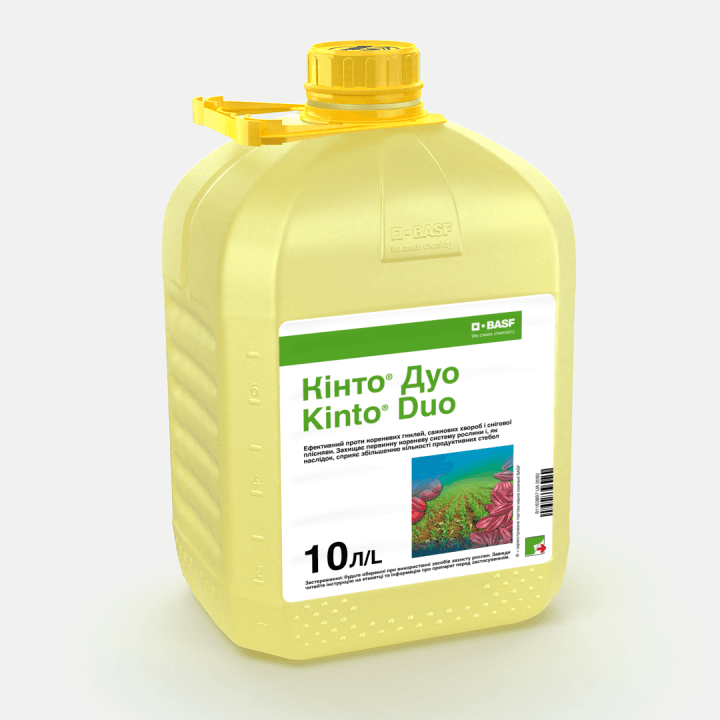 Кінто Дуо, КС