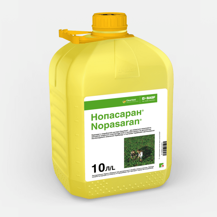 Нопасаран, КС