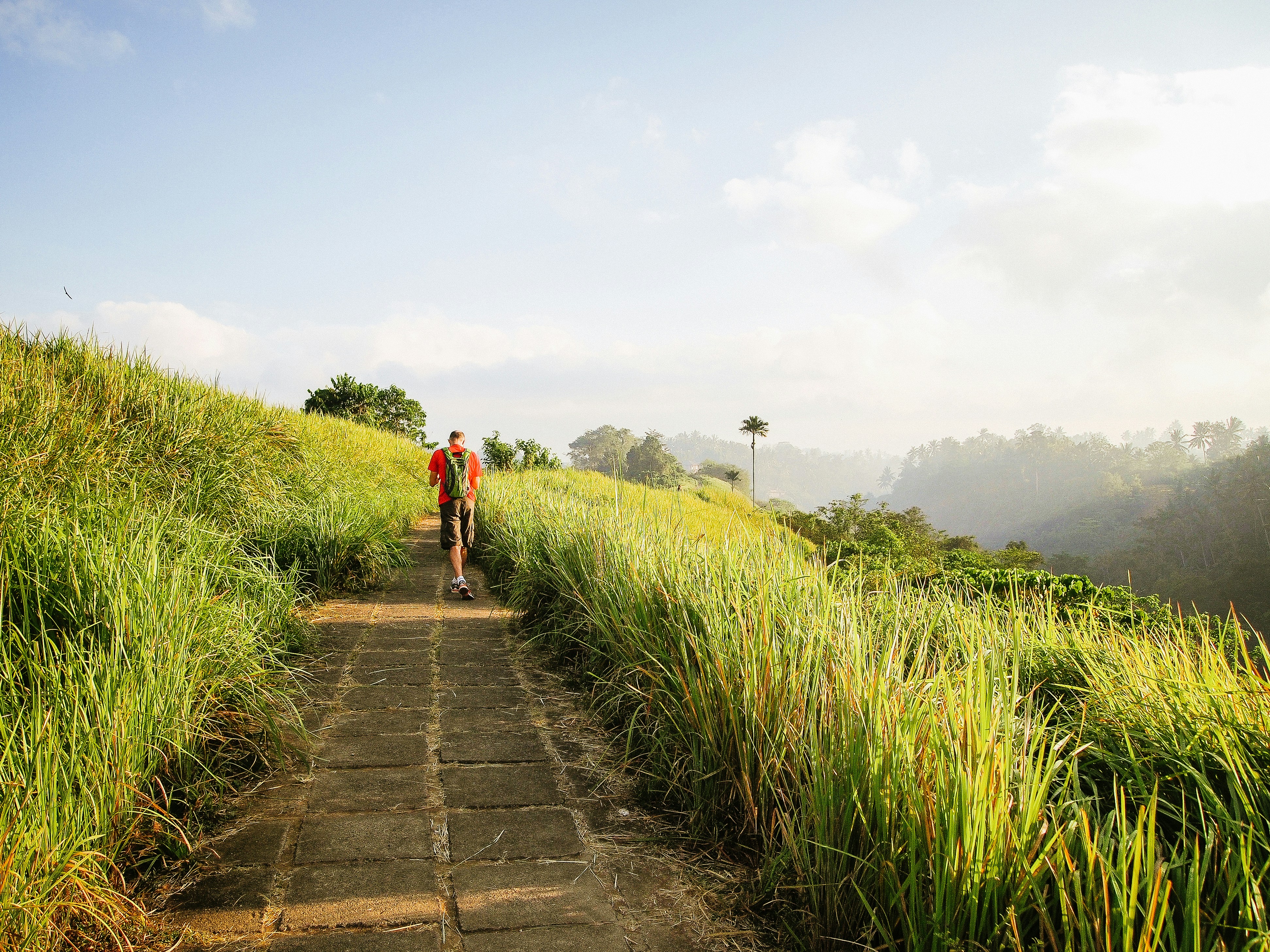 A person walking along a peaceful pathway surrounded by tall grass, with a scenic and serene landscape in the background.