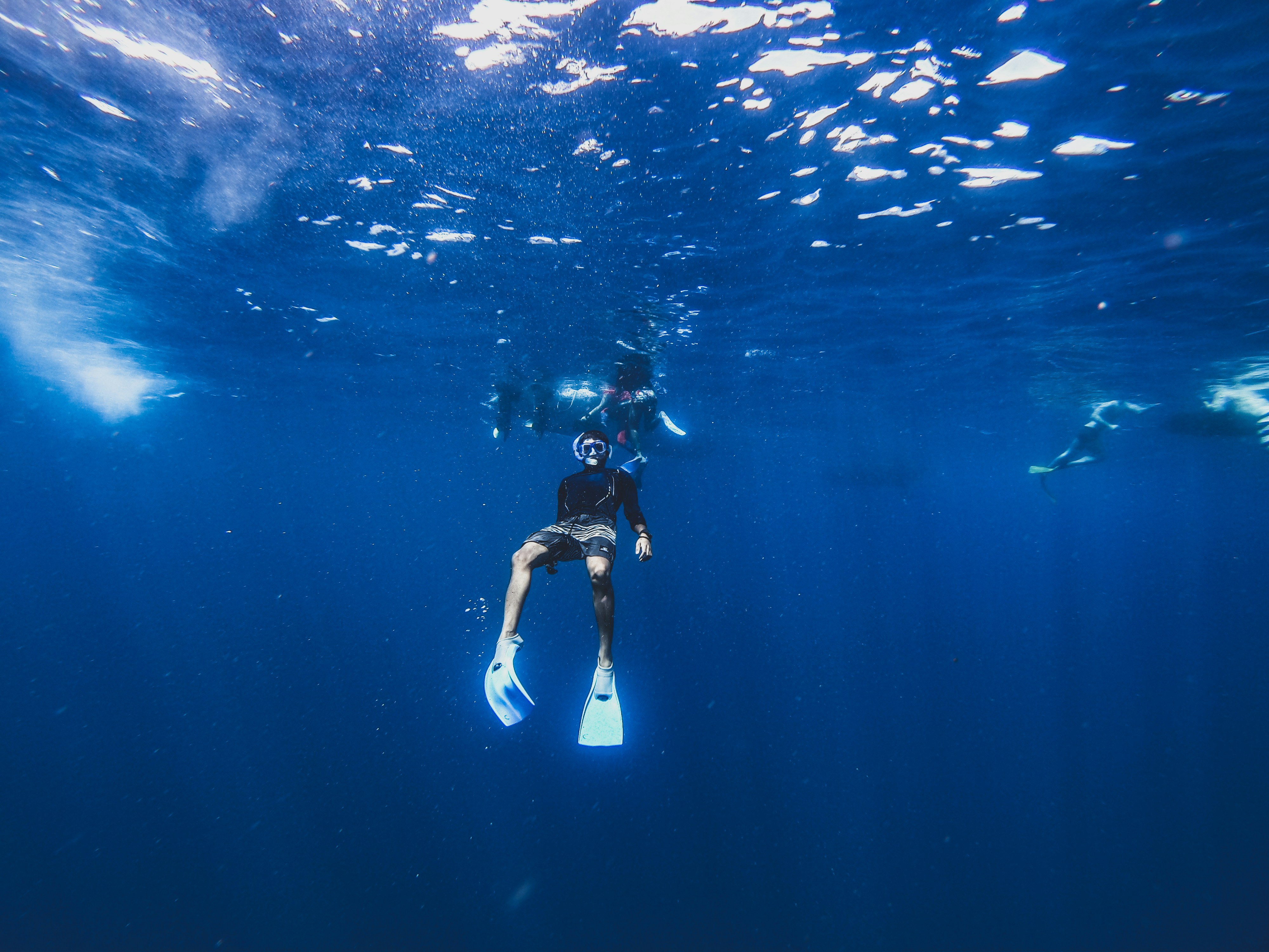 Snorkeler swimming in clear blue water.