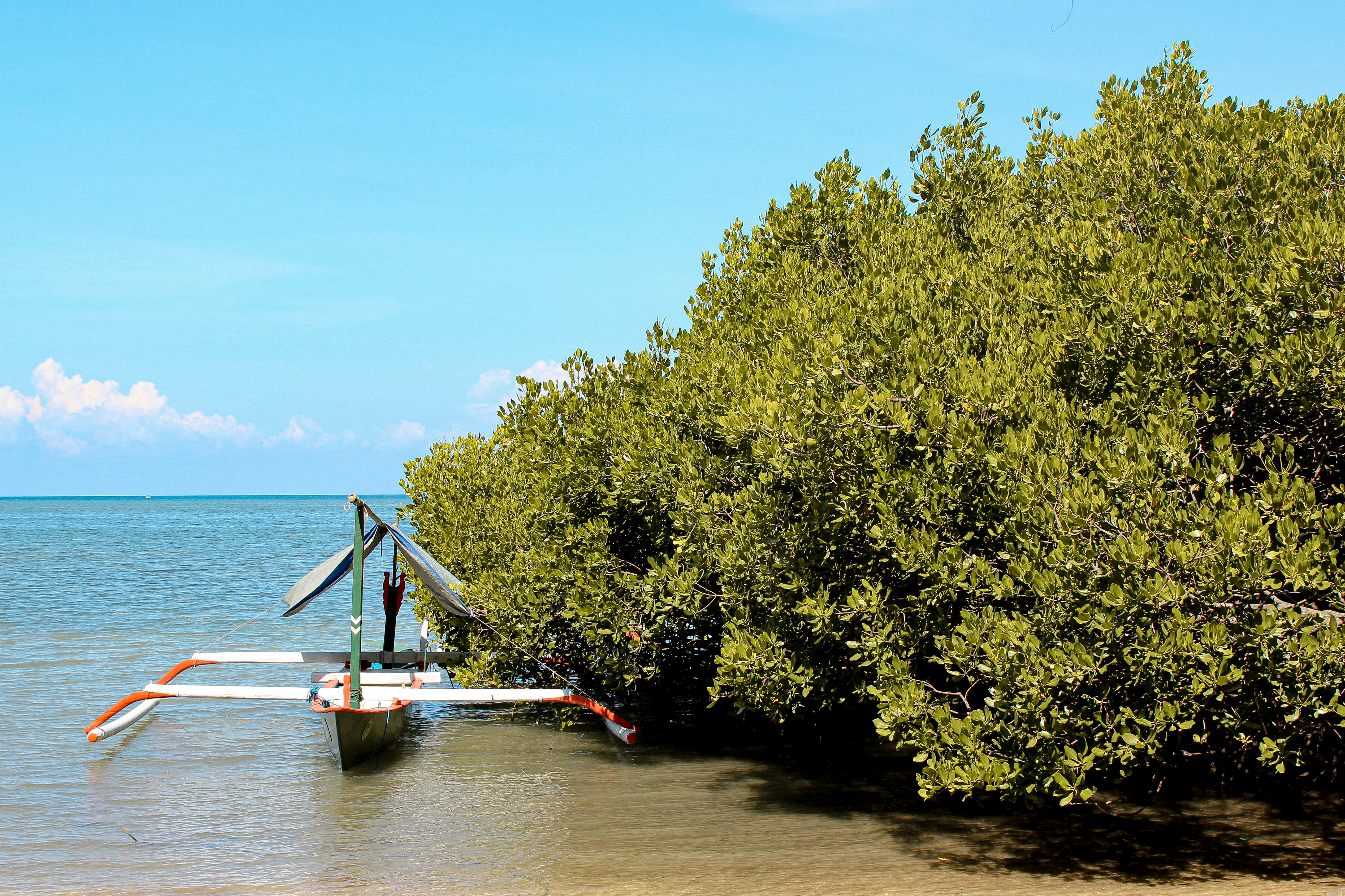 A traditional boat rests near the lush mangrove forest, surrounded by tranquil waters, highlighting the harmonious relationship between nature and local life.