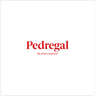 El Pedregal