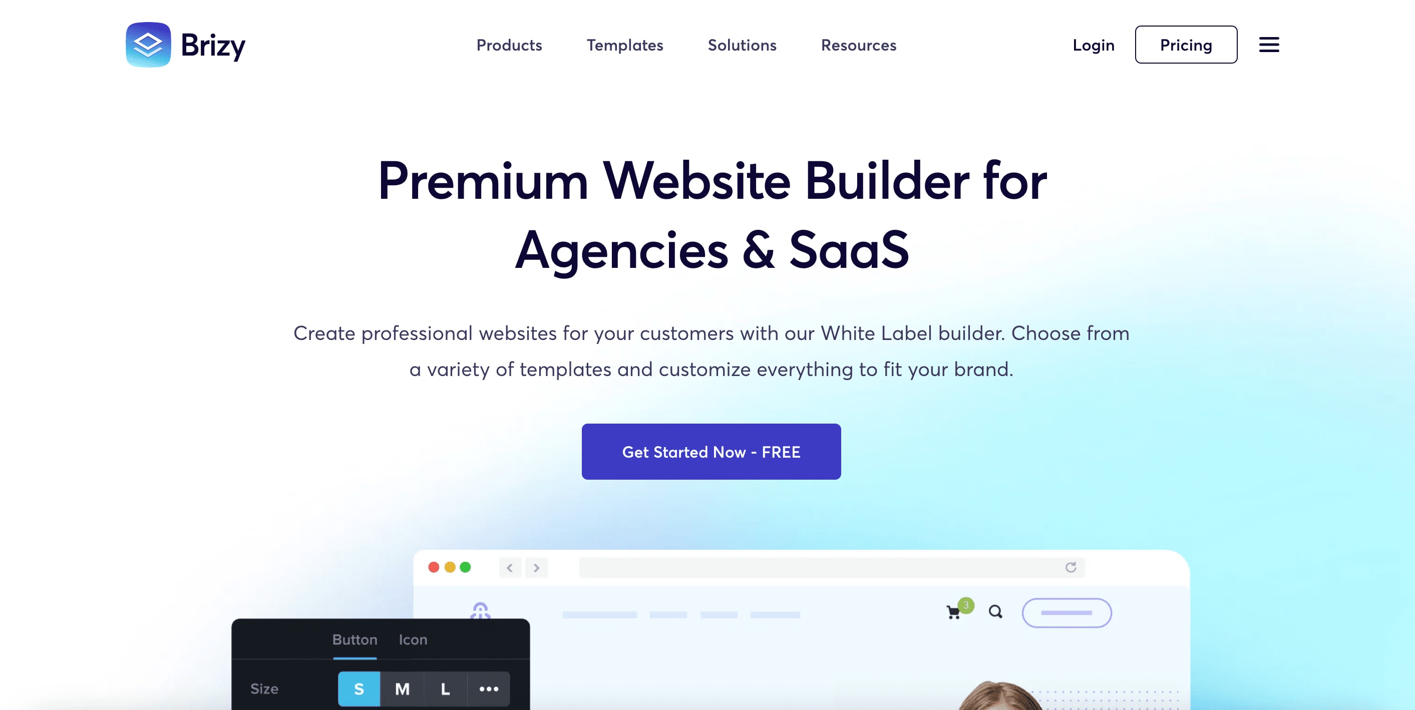 Brizy landing page