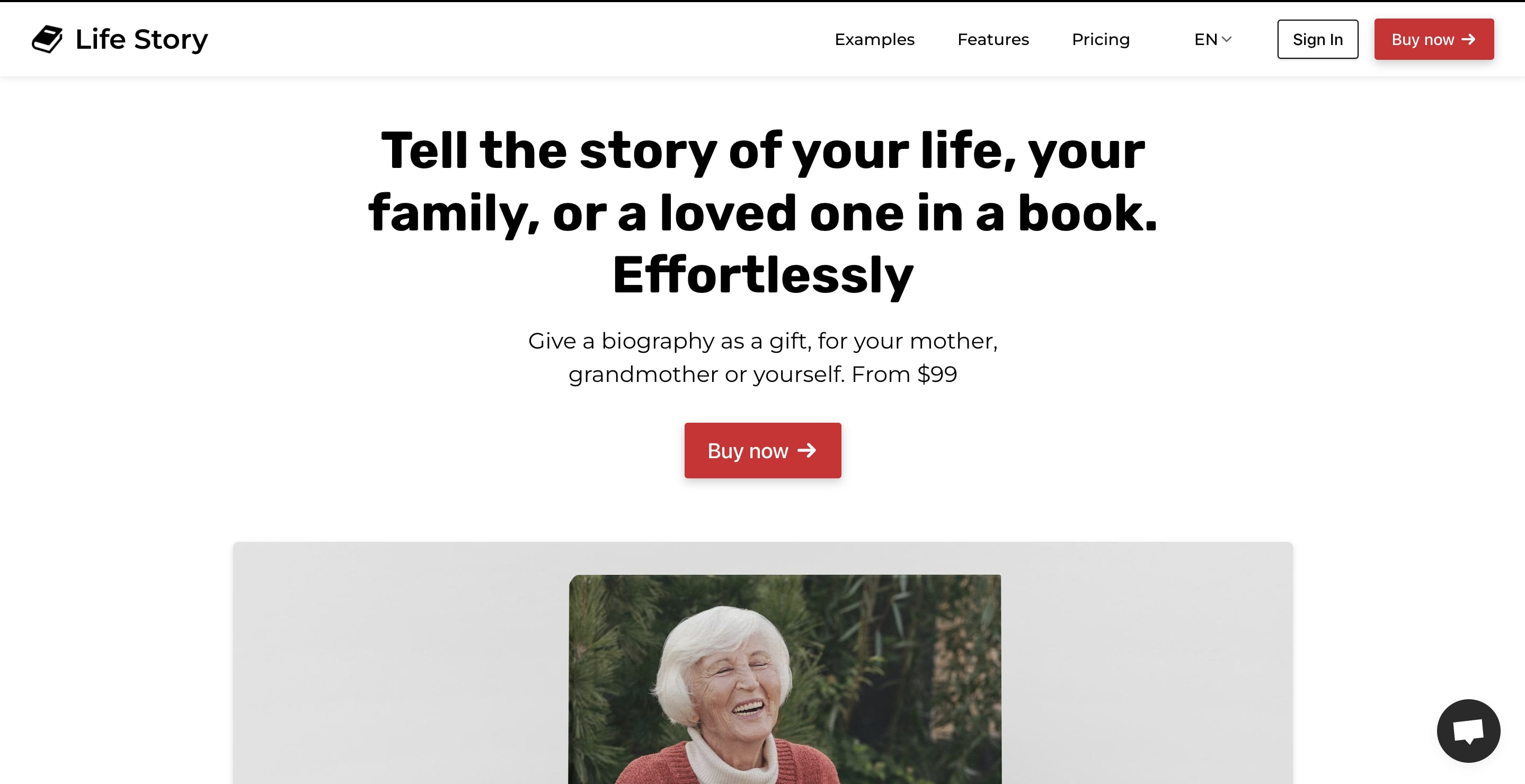 Life Story AI landing page