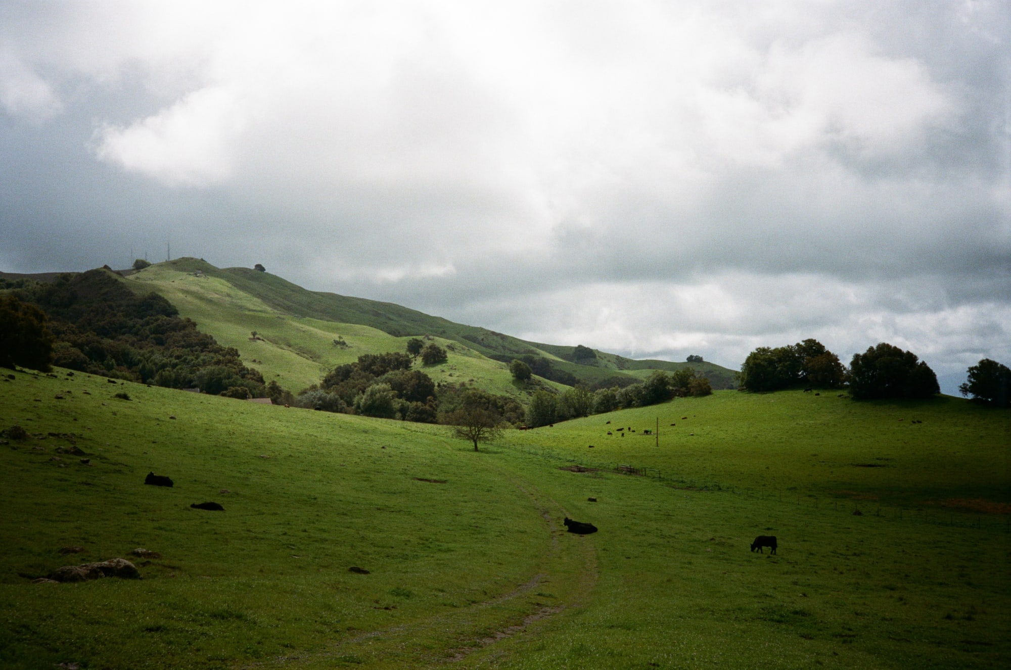 Mission Peak