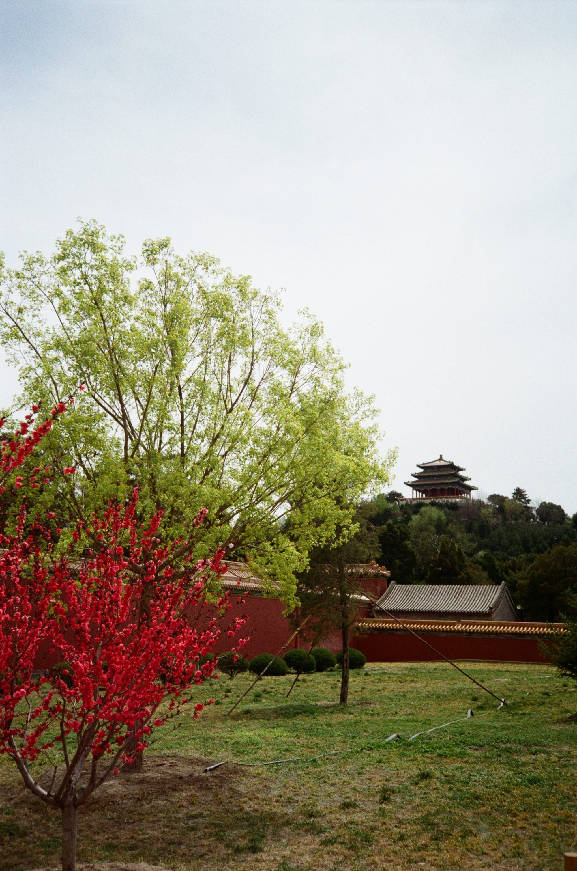 Zhangjiajie