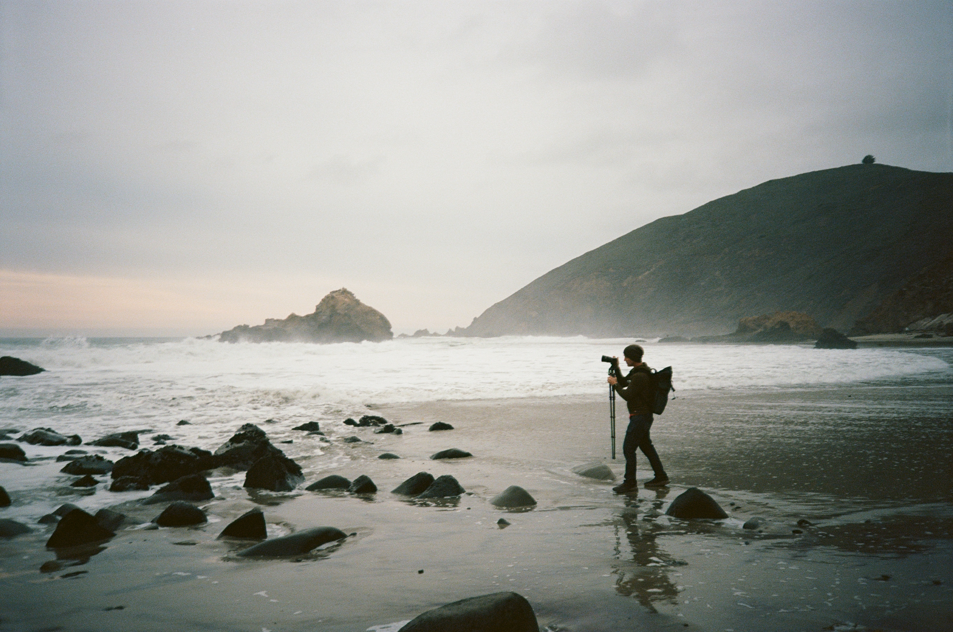 Point Lobos