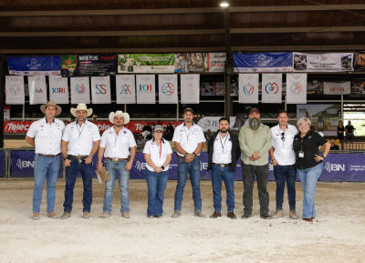 Staff desfiles de caballos