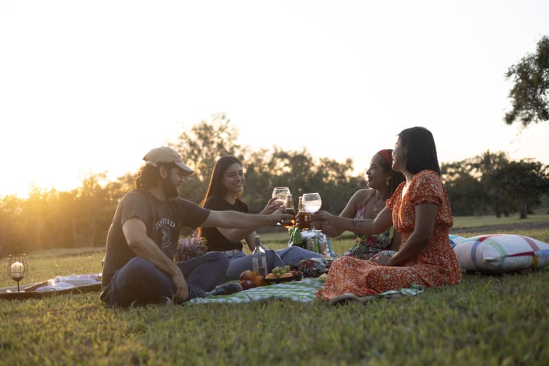 Picnic en familia