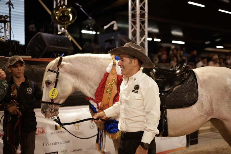 Desfile Caballos