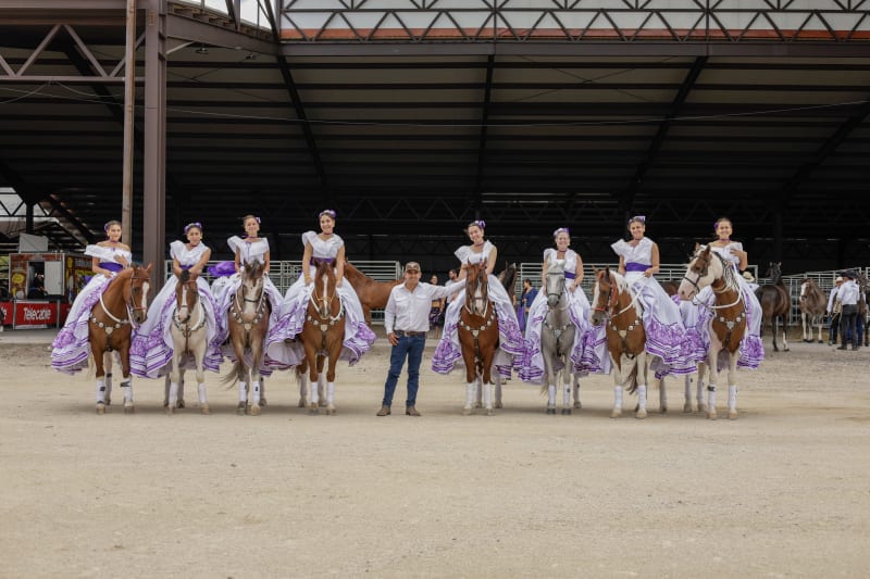 Desfile Caballos