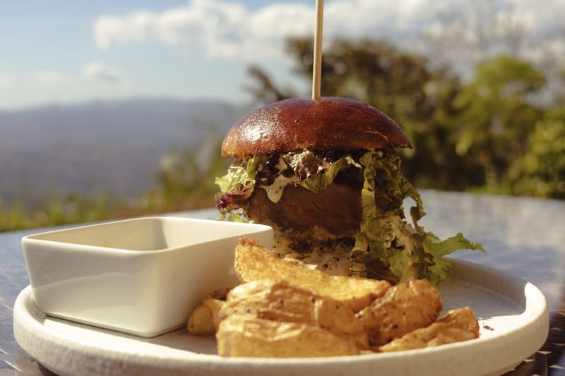 Hamburguesa