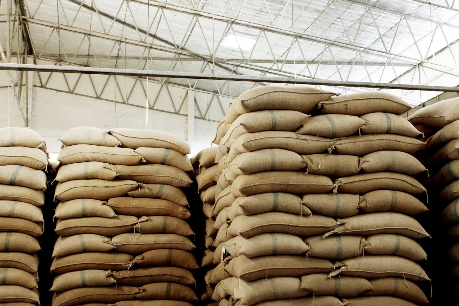 Rice Producers