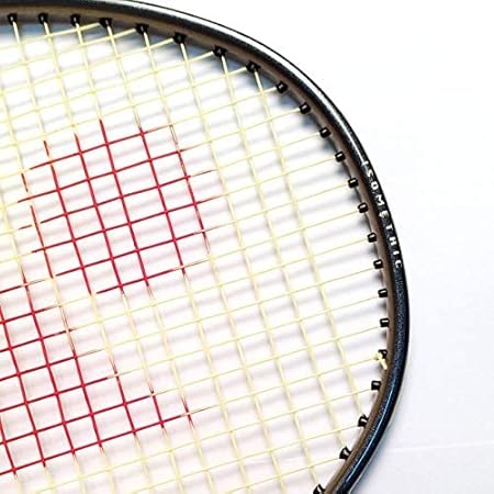 Yonex Muscle Power 29-Nepal-Vanijay-7