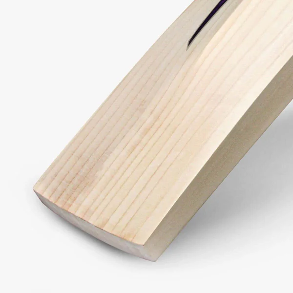 DSC RS 35-cricket bat-Nepal-vanijay-2
