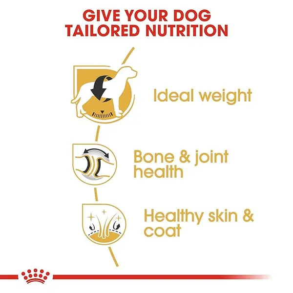 Royal Canin Labrador Dry Dog Food price in Nepal-4