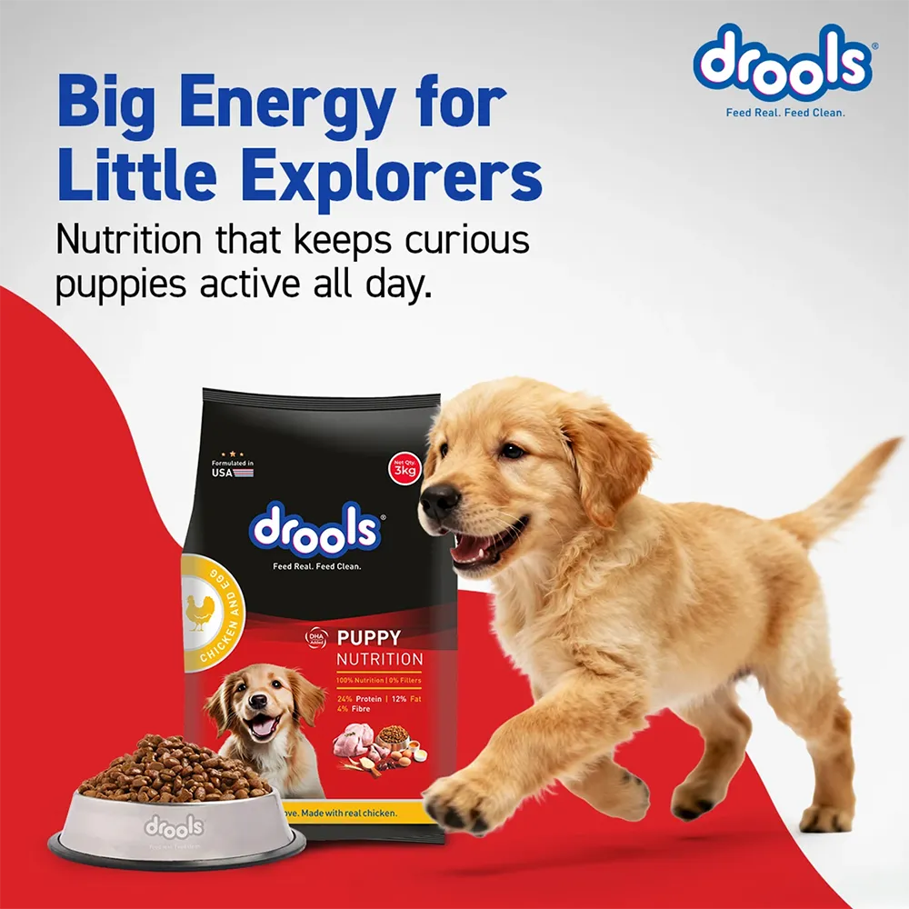 drools-puppy-dry-dog-food-1.2kg-nepal-3