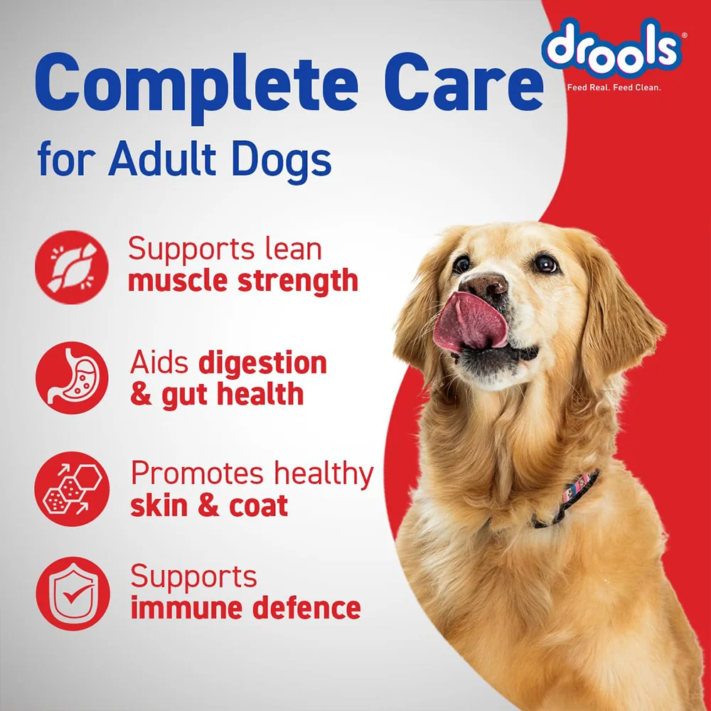 drools-adult-dry-dog-food-10kg-nepal-5