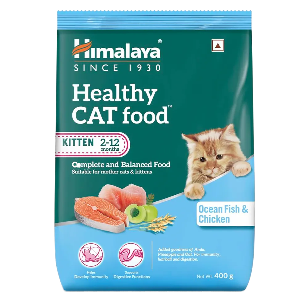 himalayan-cat-kitten-food-nepal-1