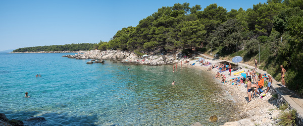 Spiaggia rocciosa con acque limpide e pineta verde, Golfo del Quarnaro.